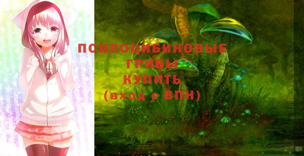 соль ск Горняк