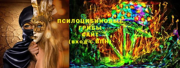соль ск Горняк
