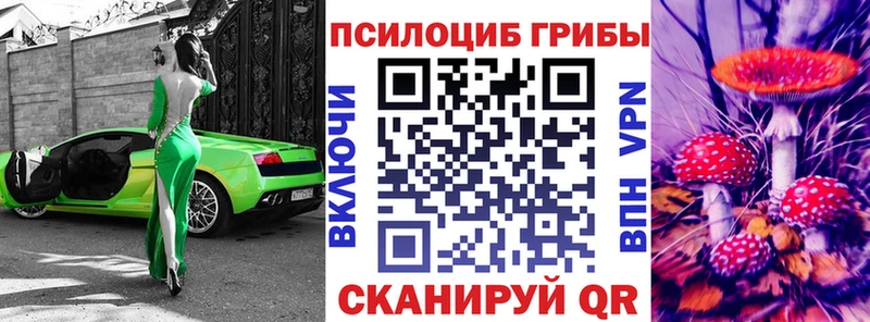 mega как зайти  Крымск  Псилоцибиновые грибы мухоморы  хочу  