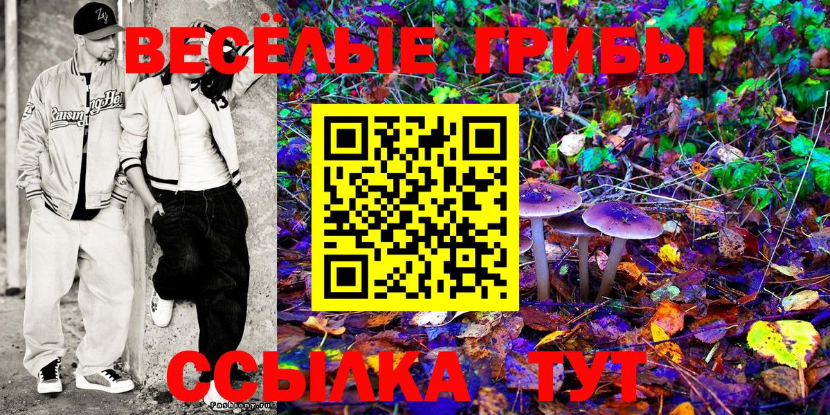 Крымск  Псилоцибиновые грибы мицелий  Псилоцибиновые грибы GOLDEN TEACHER  Вход с VPN 
