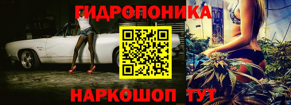 Крымск  Канабис планчик  Вход с VPN  Бошки марихуана THC 21%  Бошки Шишки гибрид  Каннабис VHQ 